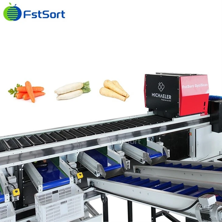 sweet  potato optical sorting machine