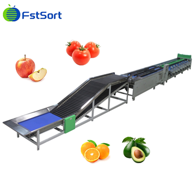 Linha de embalagem e pesagem de classificação de maçã Máquina de classificação de peso de frutas multiuso -Linha de classificação de abacate de maçã